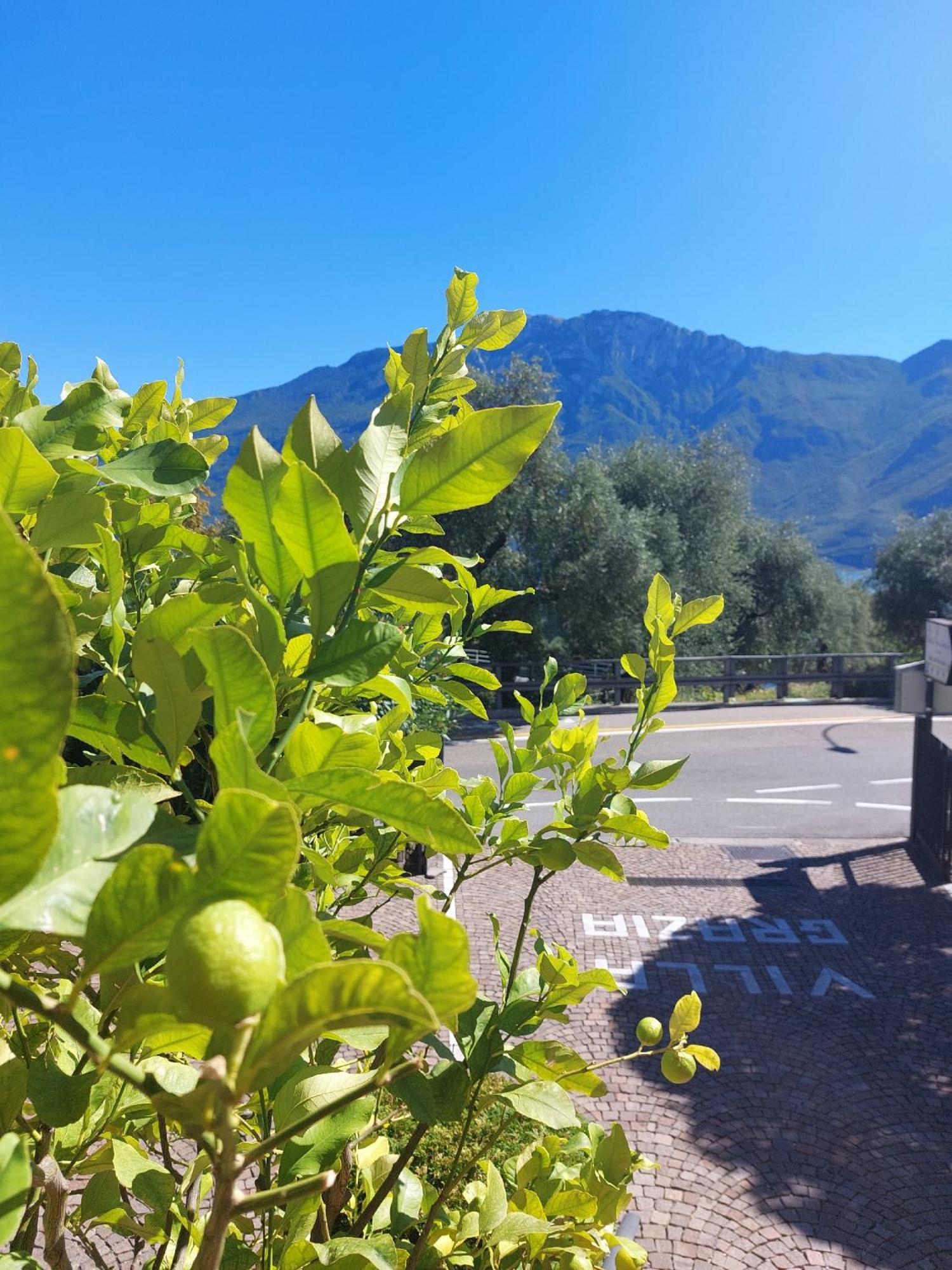 Hotel Villa Grazia Limone sul Garda Exterior photo